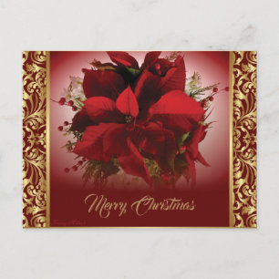 Elegant Red & Guld Poinsettia Vykort