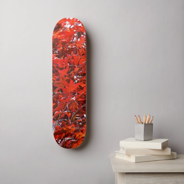 Elegant Red Japansk aple Löv Mini Skateboard Bräda 18,5 Cm (Väggkonst)