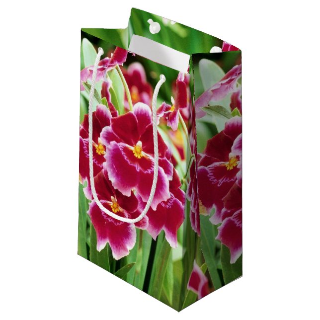 Elegant Red Orchid (Framsidan Vinklad)