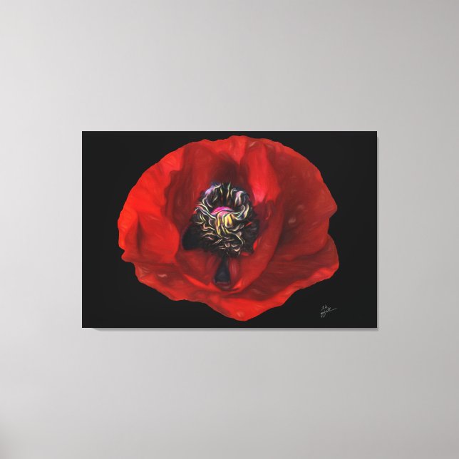 Elegant Red Poppy Flower på svart bakgrund Canvastryck (Framsida)