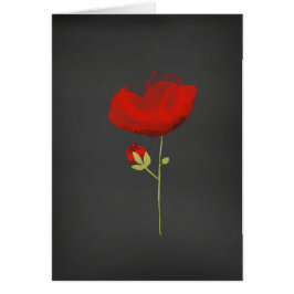 Elegant Red Poppy on Black OBS Kort