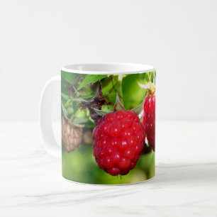 Elegant Red Raspbär Kaffemugg