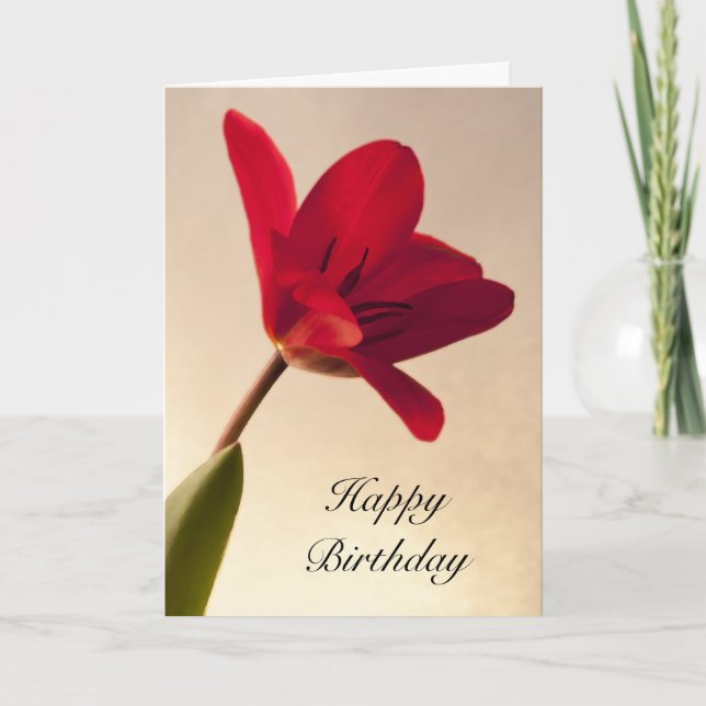 Elegant Red Tulip Birthday Kort (Framsida)
