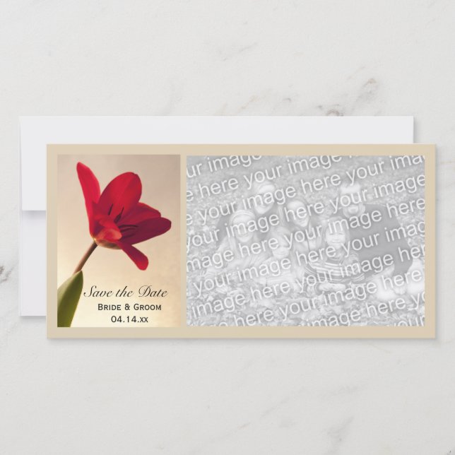 Elegant Red Tulip Bröllop spara datum Spara Datumet (Framsida)