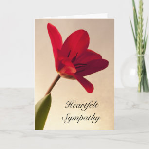 Elegant Red Tulip Sympathy Kort