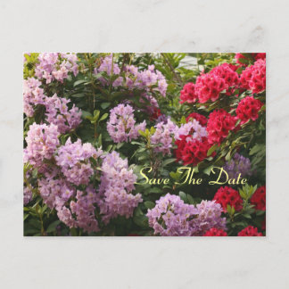 Elegant Rhododendron Spara Dagens vykort
