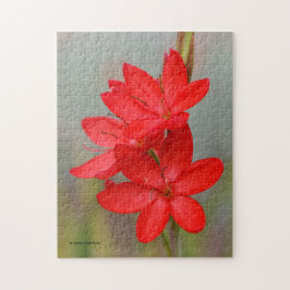 Elegant River Lily / Crimson Flagga Red Flowers Pussel
