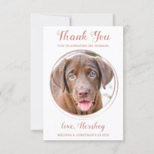 Elegant Ro Anpassningsbar Guld Hund Photo Pet Bröl Tack Kort