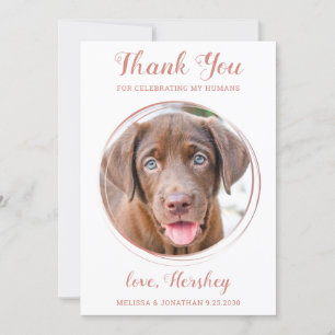 Elegant Ro Guld Anpassningsbar Pet Photo Hund Bröl Tack Kort