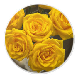 Elegant Ro keramisk dragning Knopp