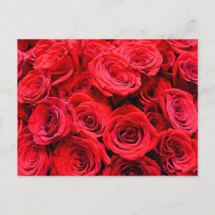 Elegant röd blommigt blommor ro vykort