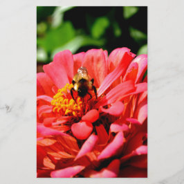 Elegant röd korall blommigt söt humla