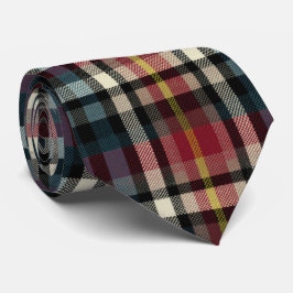Elegant röd och blå gingham-ruta-mönster slips