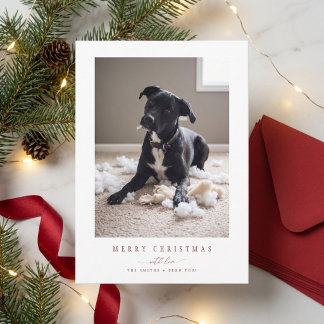Elegant röd rolig hund fot julkort