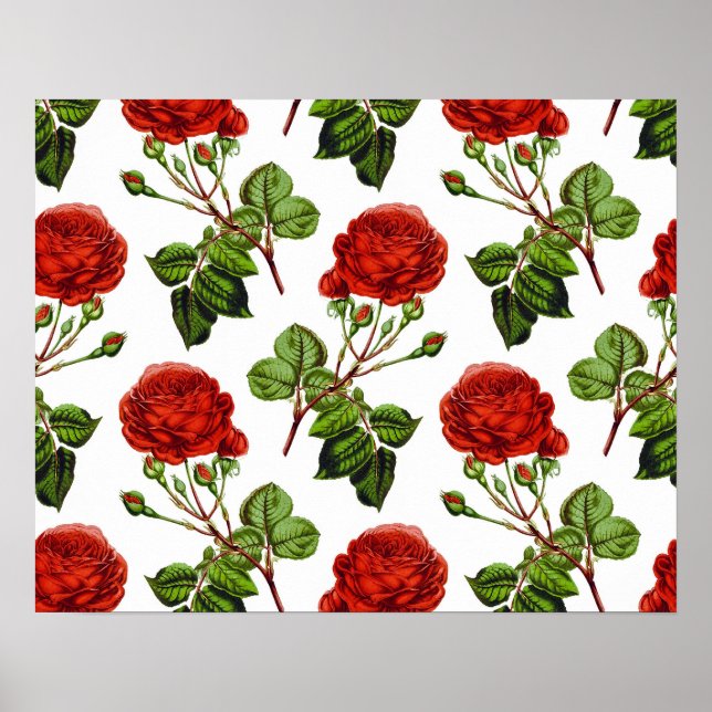 Elegant Röd ros Blommigt Flowers Mönster | Poster (Framsidan)