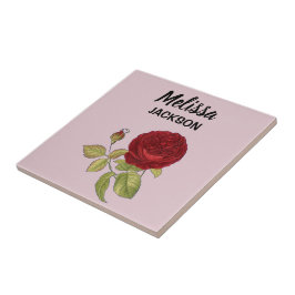 Elegant röd ros blomrosa kakelplatta