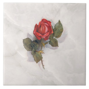 Elegant Röd ros på Grått Marble BG Kakelplatta
