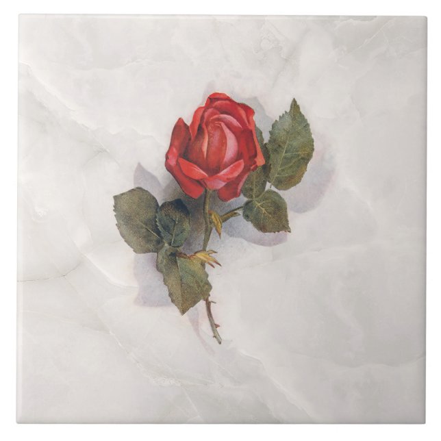 Elegant Röd ros på Grått Marble BG Kakelplatta (Framsidan)