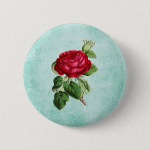 Elegant Röd ros på Vintage Mint Grönt - bakgrund Knapp