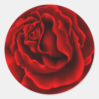 Elegant Röd ros Sticker Runt Klistermärke