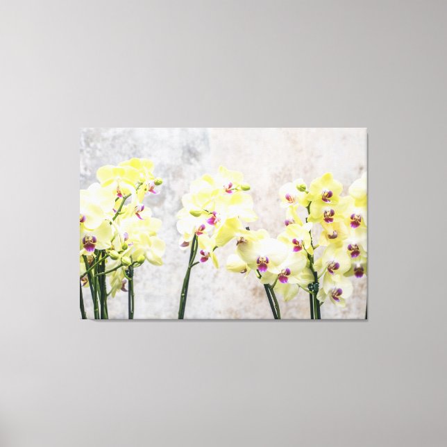 Elegant Romantic Cream & Lilac Orchids Canvastryck (Framsida)
