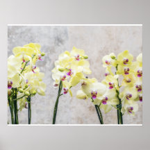 Elegant Romantic Cream & Lilac Orchids