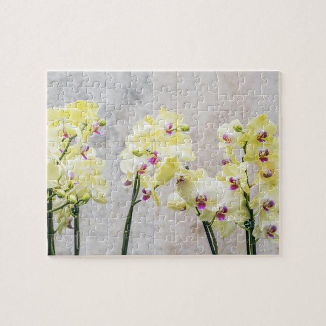 Elegant Romantic Cream & Lilac Orchids Pussel (Horisontell)