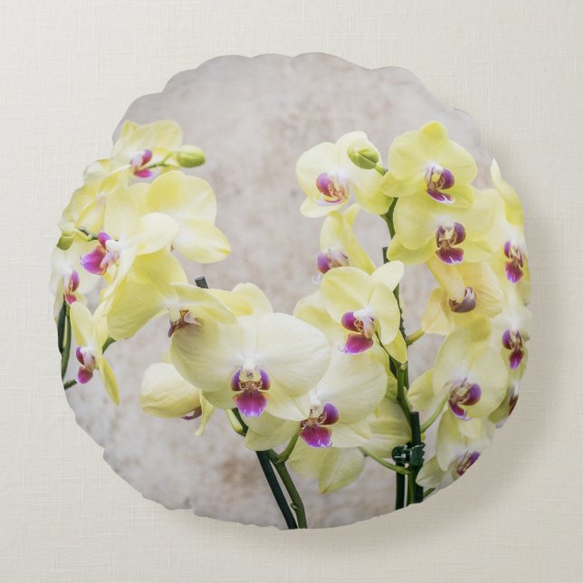 Elegant Romantic Cream & Lilac Orchids Rund Kudde (Framsidan)