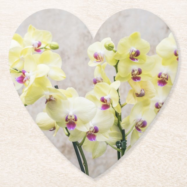 Elegant Romantic Cream & Lilac Orchids Underlägg Papper (Framsida)