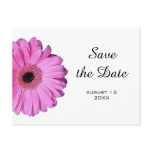 Elegant Romantic Rosa Gerbera Daisy