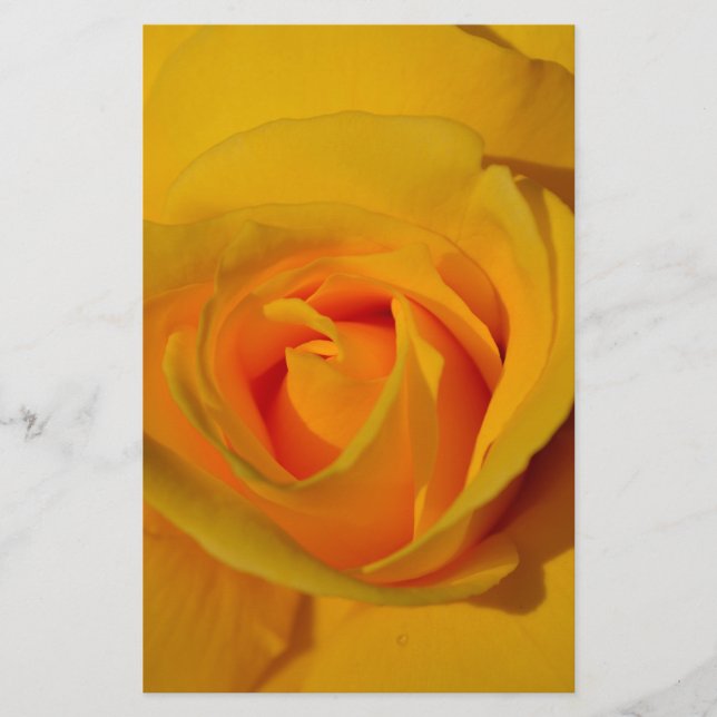 elegant romantik Gul ros nära varandra (Framsida)