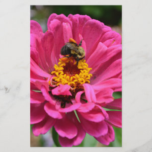 Elegant rosa blommigt blomma honungsbin av daisyn brevpapper