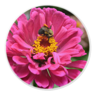 Elegant rosa blommigt blomma honungsbin av daisyn  knopp