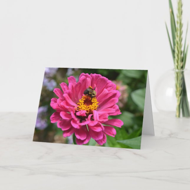Elegant rosa blommigt blomma honungsbin av daisyn  kort (Framsida)
