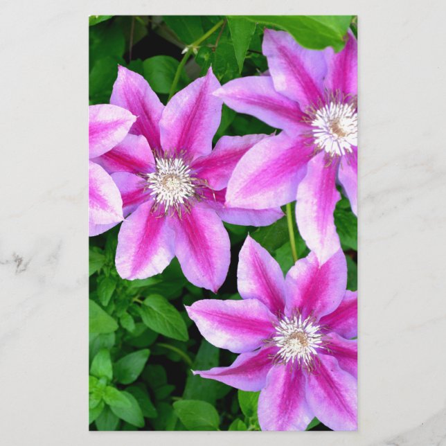Elegant rosa blommigt boho greenery (Framsida)