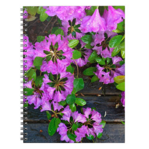 Elegant rosa blommigt rosa azaleas rosa blommor anteckningsbok