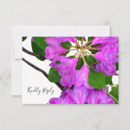 Elegant rosa blommigt rosa azaleas rosa blommor OSA kort