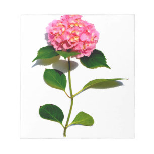 Elegant rosa blommigt rosa Vatten Anteckningsblock