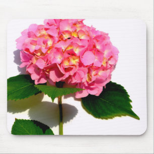 Elegant rosa blommigt rosa Vatten Musmatta