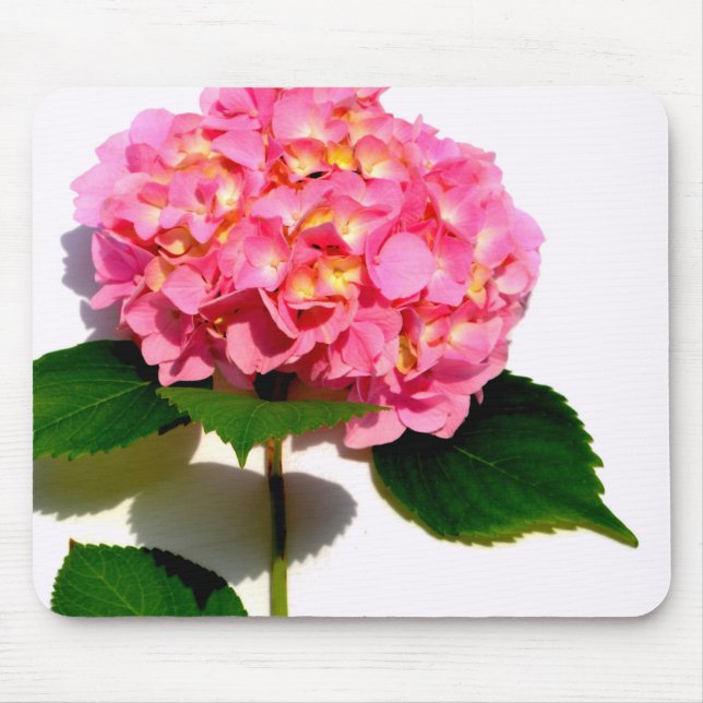 Elegant rosa blommigt rosa Vatten Musmatta (Framsidan)