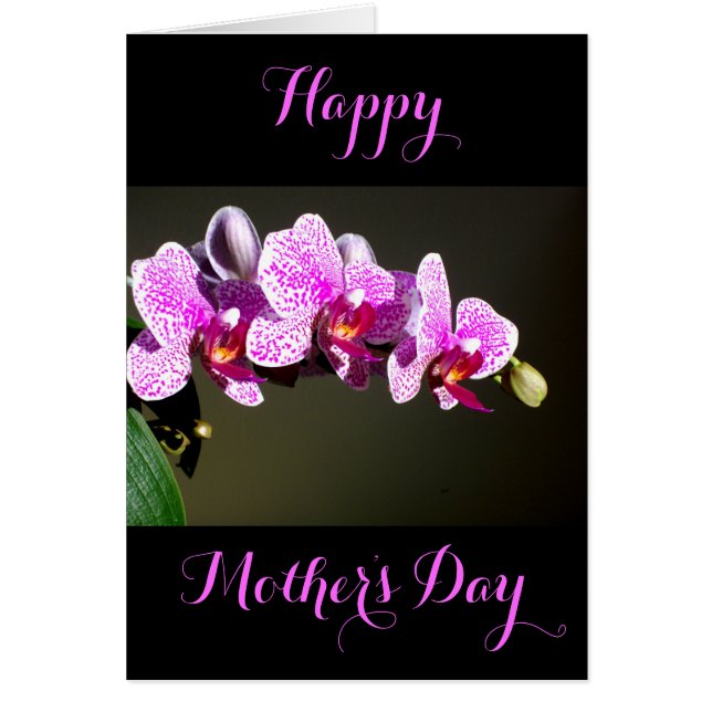Elegant rosa blommigt tropiska rosa orkidéer hälsningskort (Framsidan)