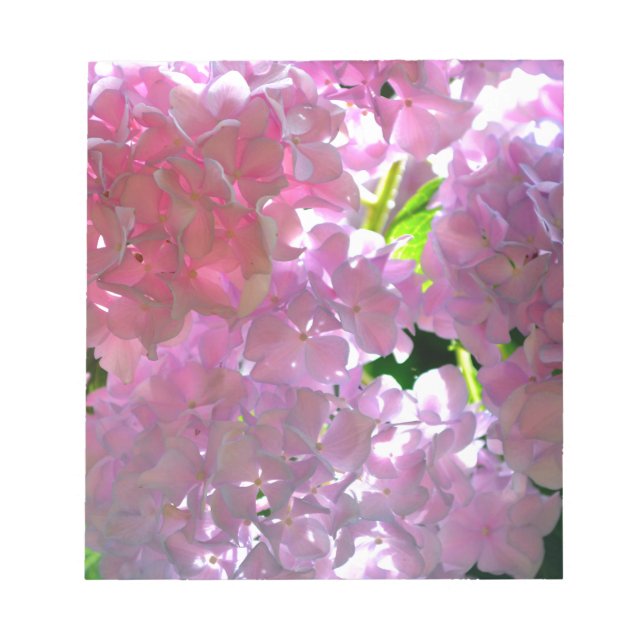 Elegant rosa boho blommigts blommor hydrangeas anteckningsblock (Framsida)