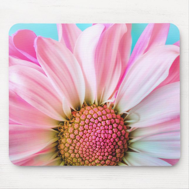 Elegant rosa chic daisy musmatta (Framsidan)