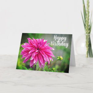 Elegant Rosa Dahlia Garden Flower Kort