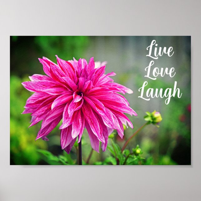 Elegant Rosa Dahlia Garden Flower Motivational Poster (Framsidan)