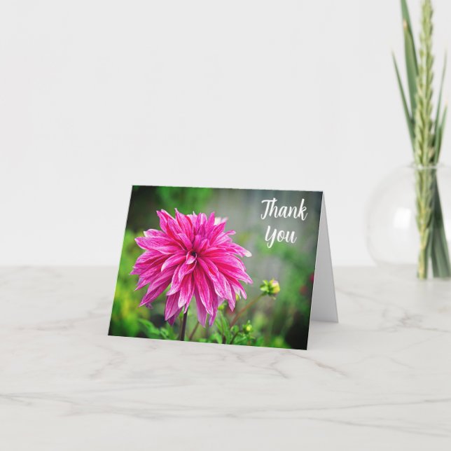 Elegant Rosa Dahlia Garden Flower Tack Kort (Framsida)