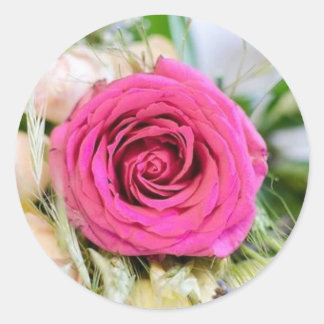 Elegant Rosa Garden Ro Blommigt Flower Runt Klistermärke