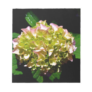 Elegant rosa grönt grönt blommigt hydrangea anteckningsblock