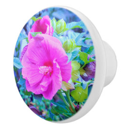 Elegant Rosa Hibiscus Flower med Aqua Foliage Knopp