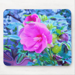 Elegant Rosa Hibiscus Flower med Aqua Foliage Musmatta